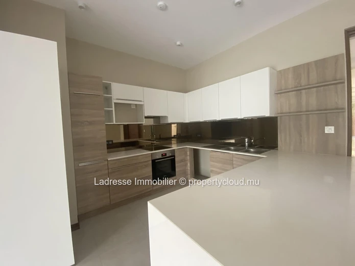 Penthouse à louer à Pointe aux Canonniers