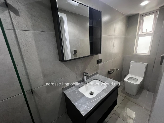 Apartment for rent in Pointe aux Canonniers
