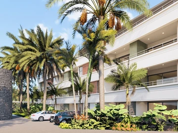 3 Bedroom Apartment