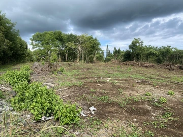 Agricultural Land