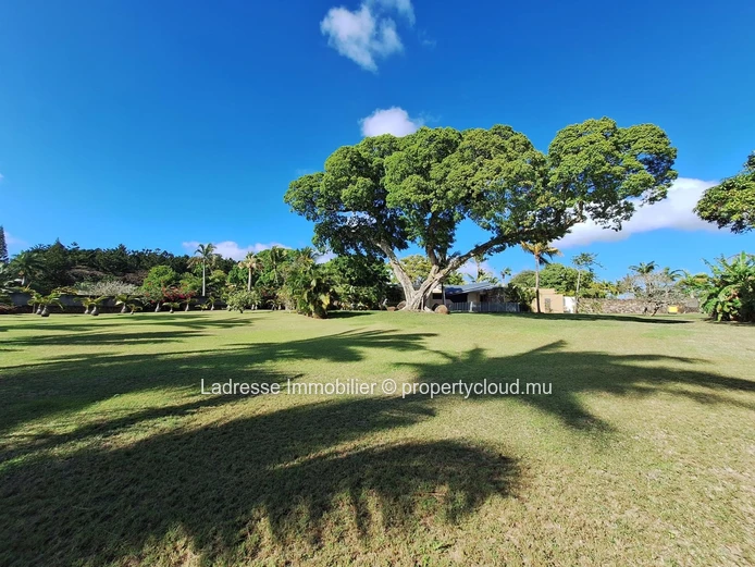 Exceptional 4-bedroom property in a prime location of Foret Daruty. 